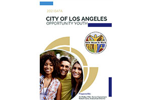 report cover