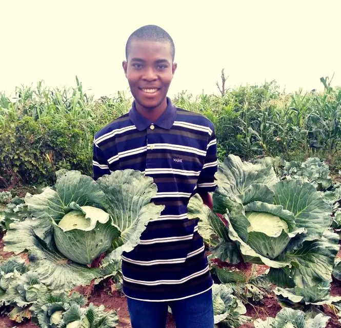 person holding two huge cabbages
