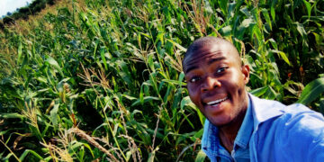 selfie in a corn field