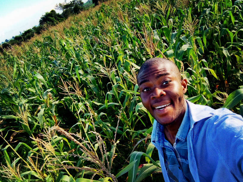selfie in a corn field